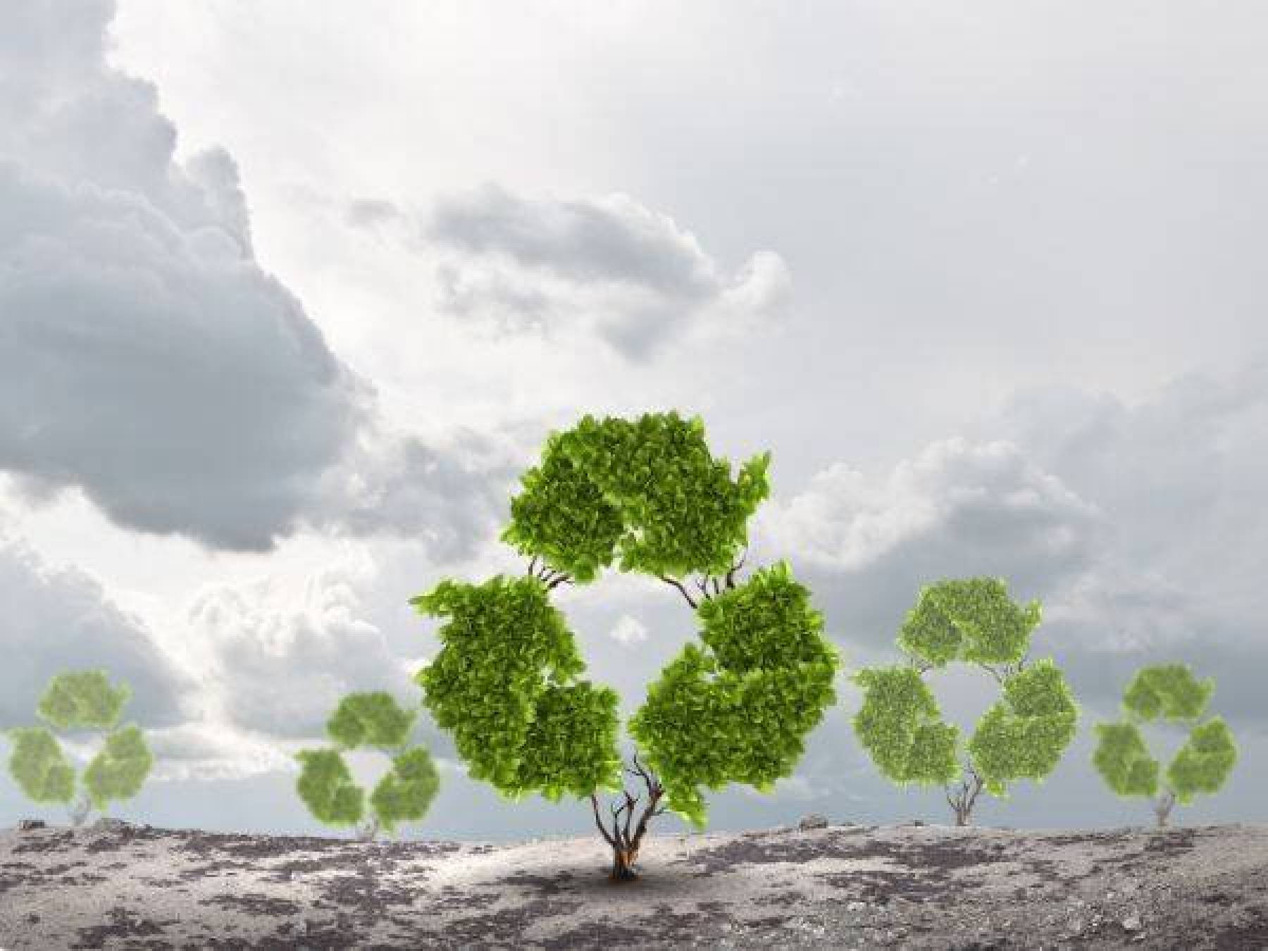 Sztuka recyklingu: jak twórczość może przyczynić się do zrównoważonego rozwoju